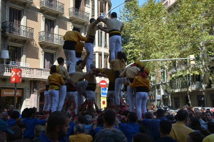 20180911G-1 A Barcelona amb Castellers de Sants i Gràcia i Bordegassos.DSC 9896